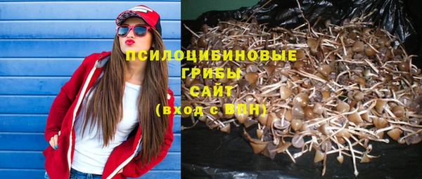 винт Белоозёрский