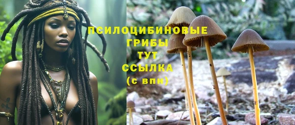 кокаин Белокуриха