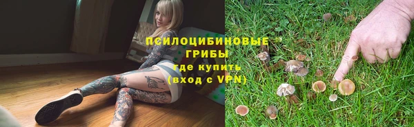 твердый Семикаракорск